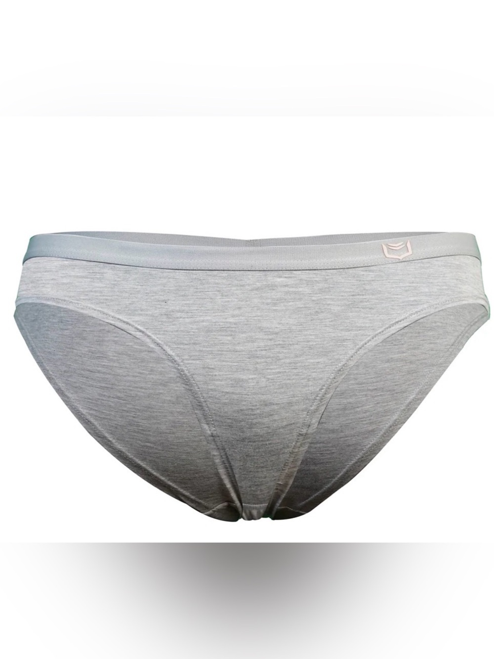 SHEATH Women’s Bamboo Bikini Briefs – Heather Gray – XXL